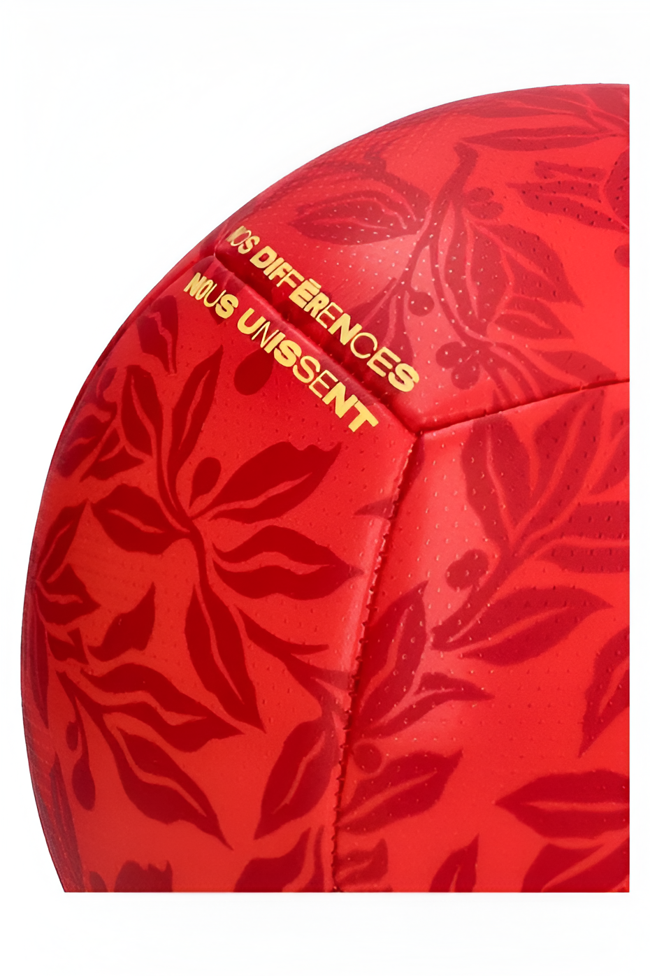 Balón Nike Francia Pitch