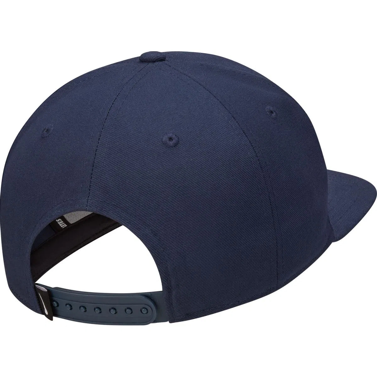 Gorra Nike SB Pro Futura